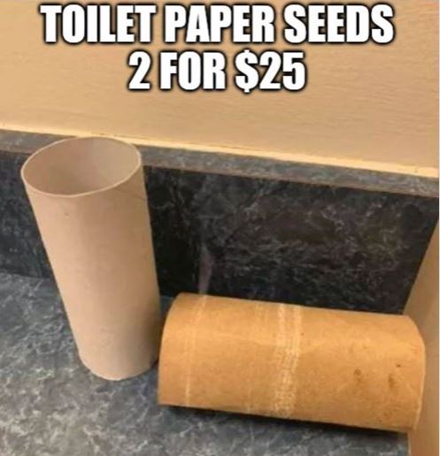toilet paper seeds